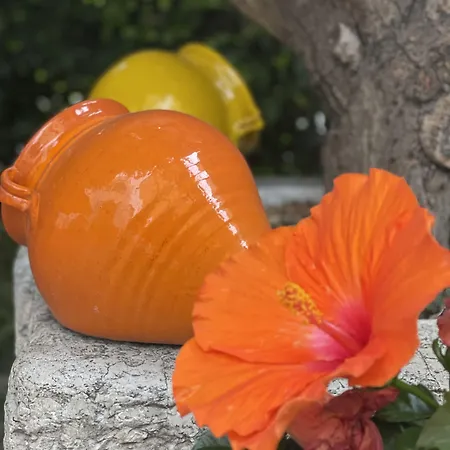 Liddo Boutique 4* بارليتا